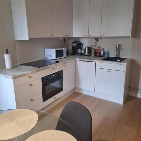 Beautiful And Spacious Studio, Downtown